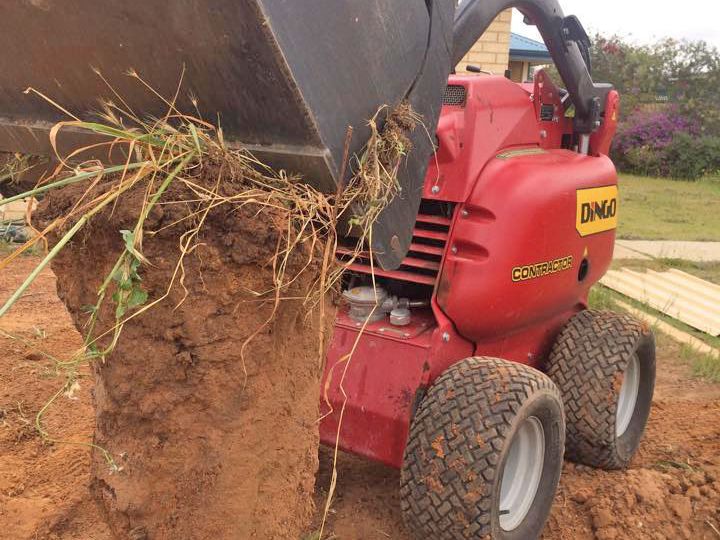 Dingo Hire Kirwan MINI LOADERS Dingo Hire Townsville